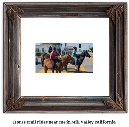 horse trail rides near me in Mill Valley, California